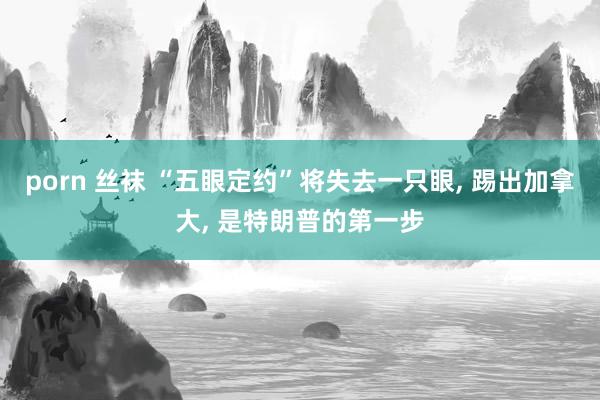 porn 丝袜 “五眼定约”将失去一只眼， 踢出加拿大， 是特朗普的第一步