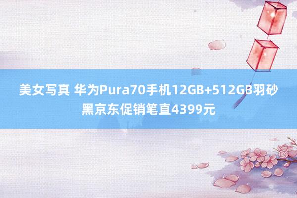 美女写真 华为Pura70手机12GB+512GB羽砂黑京东促销笔直4399元