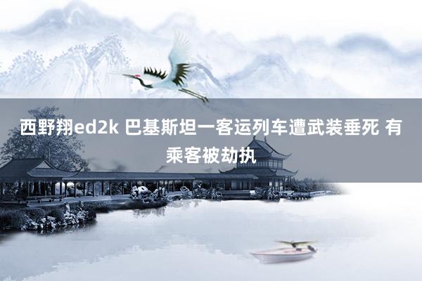 西野翔ed2k 巴基斯坦一客运列车遭武装垂死 有乘客被劫执