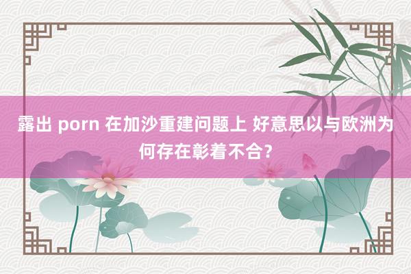 露出 porn 在加沙重建问题上 好意思以与欧洲为何存在彰着不合？