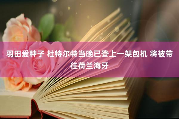 羽田爱种子 杜特尔特当晚已登上一架包机 将被带往荷兰海牙