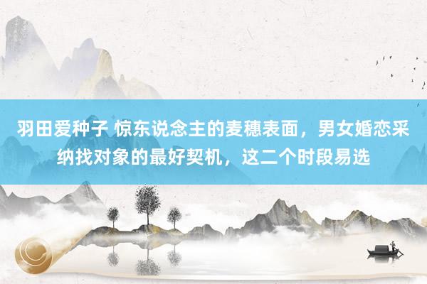 羽田爱种子 惊东说念主的麦穗表面，男女婚恋采纳找对象的最好契机，这二个时段易选