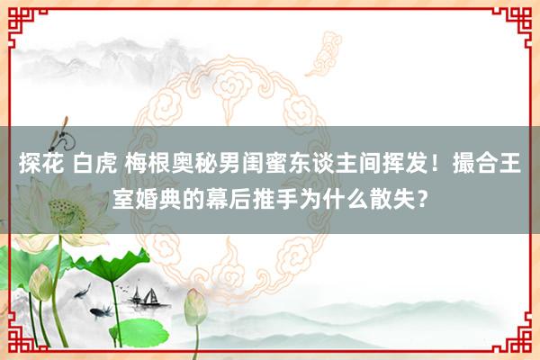 探花 白虎 梅根奥秘男闺蜜东谈主间挥发！撮合王室婚典的幕后推手为什么散失？