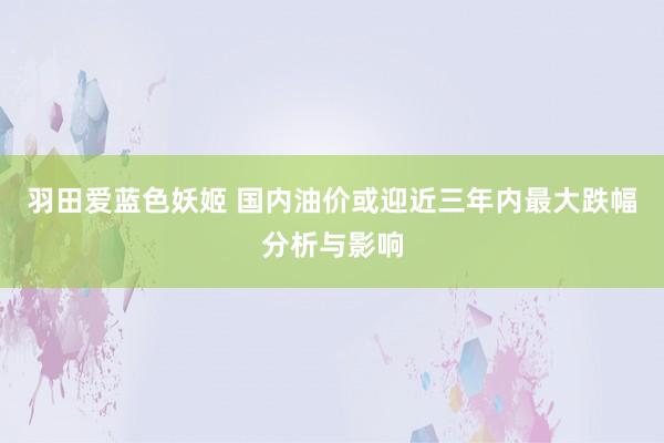 羽田爱蓝色妖姬 国内油价或迎近三年内最大跌幅分析与影响