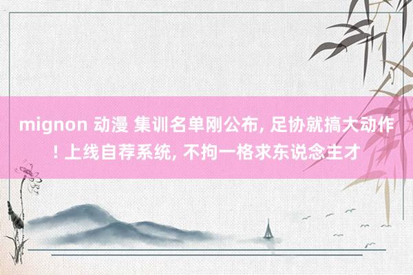 mignon 动漫 集训名单刚公布， 足协就搞大动作! 上线自荐系统， 不拘一格求东说念主才