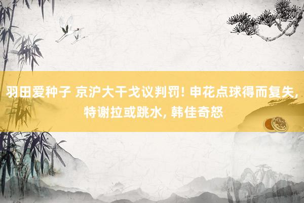 羽田爱种子 京沪大干戈议判罚! 申花点球得而复失， 特谢拉或跳水， 韩佳奇怒