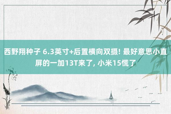 西野翔种子 6.3英寸+后置横向双摄! 最好意思小直屏的一加13T来了， 小米15慌了