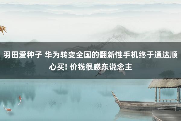 羽田爱种子 华为转变全国的翻新性手机终于通达顺心买! 价钱很感东说念主