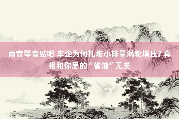 雨宫琴音贴吧 车企为何扎堆小排量涡轮增压? 真相和你思的“省油”无关