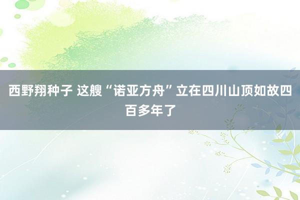 西野翔种子 这艘“诺亚方舟”立在四川山顶如故四百多年了