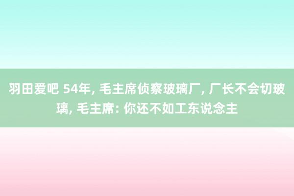 羽田爱吧 54年， 毛主席侦察玻璃厂， 厂长不会切玻璃， 毛主席: 你还不如工东说念主