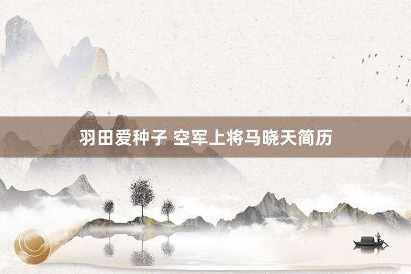 羽田爱种子 空军上将马晓天简历