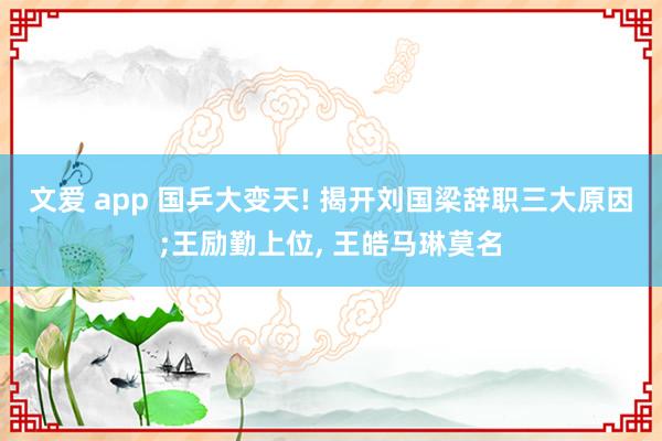 文爱 app 国乒大变天! 揭开刘国梁辞职三大原因;王励勤上位， 王皓马琳莫名
