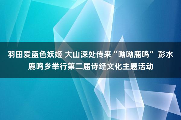 羽田爱蓝色妖姬 大山深处传来“呦呦鹿鸣” 彭水鹿鸣乡举行第二届诗经文化主题活动