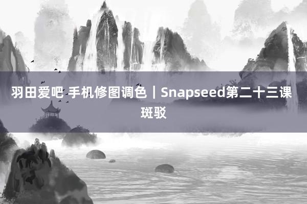 羽田爱吧 手机修图调色｜Snapseed第二十三课 斑驳