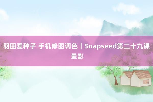 羽田爱种子 手机修图调色｜Snapseed第二十九课 晕影