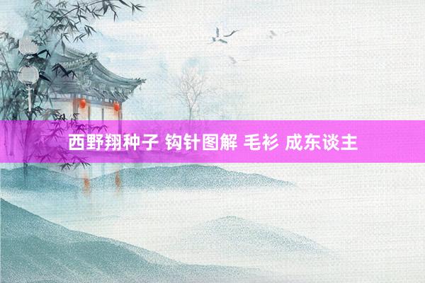 西野翔种子 钩针图解 毛衫 成东谈主