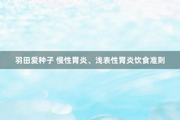 羽田爱种子 慢性胃炎、浅表性胃炎饮食准则