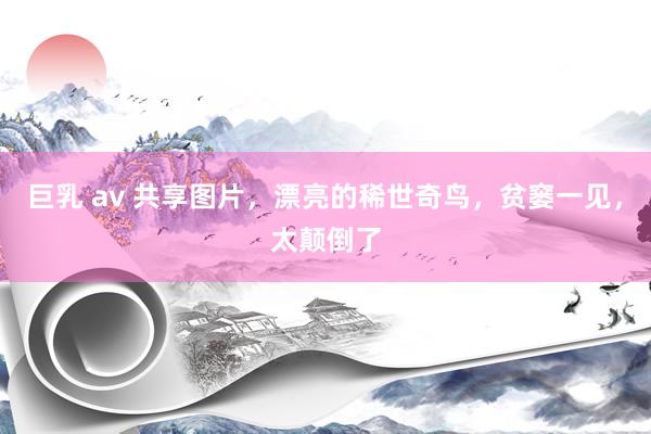 巨乳 av 共享图片，漂亮的稀世奇鸟，贫窭一见，太颠倒了