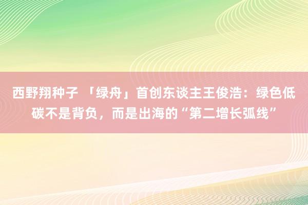 西野翔种子 「绿舟」首创东谈主王俊浩：绿色低碳不是背负，而是出海的“第二增长弧线”