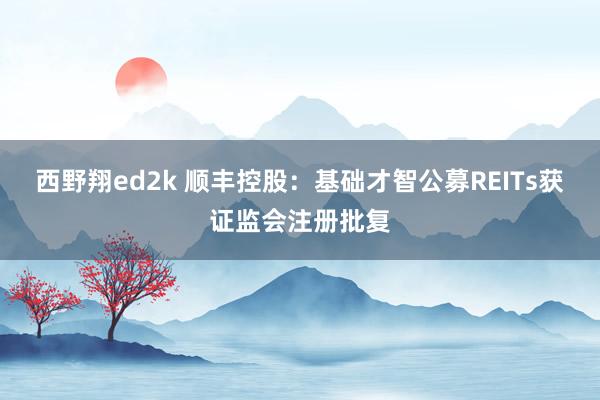 西野翔ed2k 顺丰控股：基础才智公募REITs获证监会注册批复