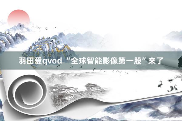 羽田爱qvod “全球智能影像第一股”来了