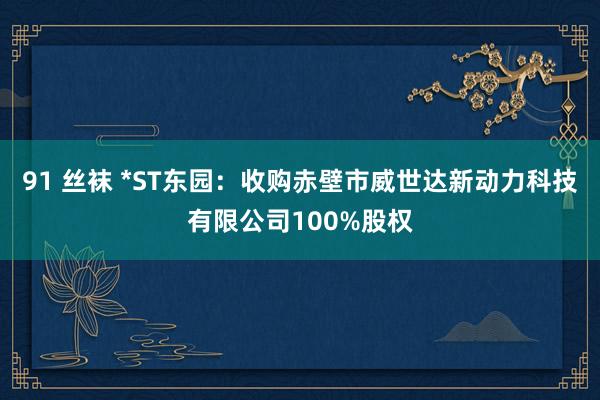91 丝袜 *ST东园：收购赤壁市威世达新动力科技有限公司100%股权