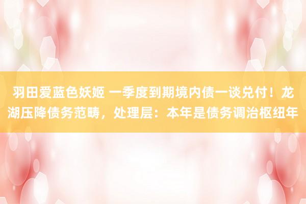 羽田爱蓝色妖姬 一季度到期境内债一谈兑付！龙湖压降债务范畴，处理层：本年是债务调治枢纽年